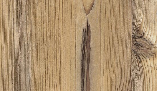 Obrazek creative H1487 ST 22 Sosna Bramberg