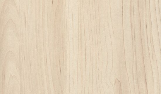 Obrazek premium H3860 ST 9 Klon Hard szampański